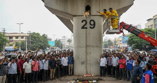 മെ​ട്രോ പി​ല്ല​റി​നു​ള്ളി​ൽ പൂ​ച്ച; ര​ക്ഷാ​പ്ര​വ​ർ​ത്ത​നിടെ പൂ​ച്ച താ​ഴേ​ക്ക് ചാ​ടി ര​ക്ഷ​പെ​ട്ടു